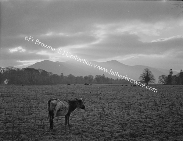 VARIOUS SHOTS IN DEMESNE CLOUDS OVER TOOMIES MOUNTAINS